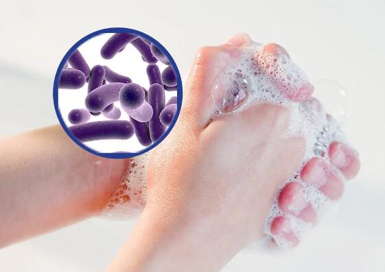 Sanitizer personalizado profundamente de limpeza da mão, Sanitizer antiviroso da mão